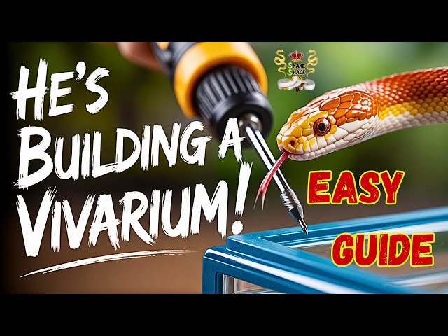 DIY Viv Build Start to Finish