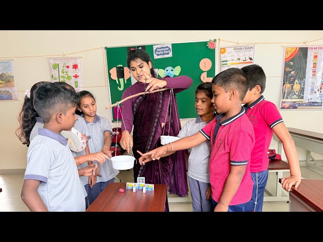 Low Cost TLM 👌|| No Cost learning Material || Taste from waste 