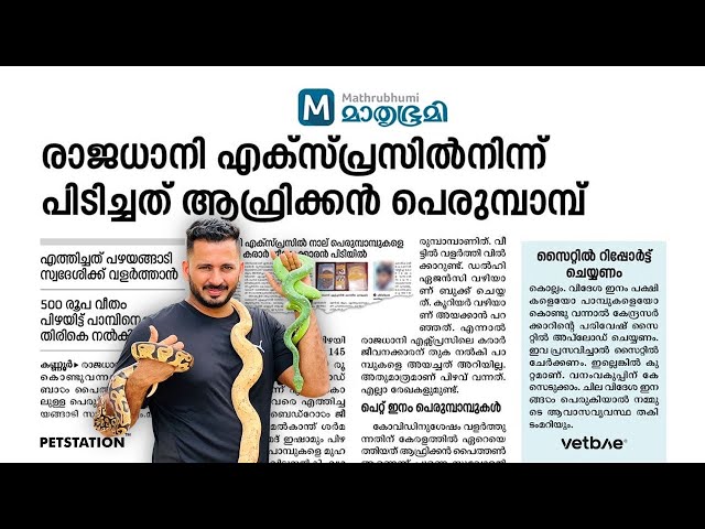 പാമ്പിനെ കൊണ്ട്‌ വരുമ്പോൾ പോലീസ്‌ പിടിച്ചു | Pastel ball python and Banana ball python