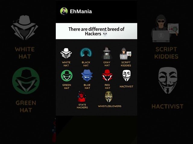 Which one are you ... Comment Below