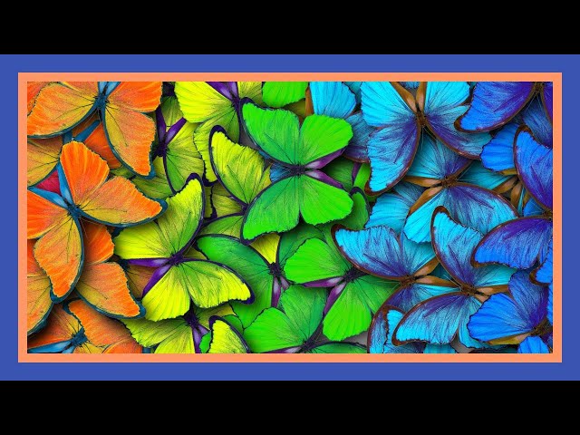 Commercial Art | Creative Services to Advertisers | Graphic Design | Graphic Art
