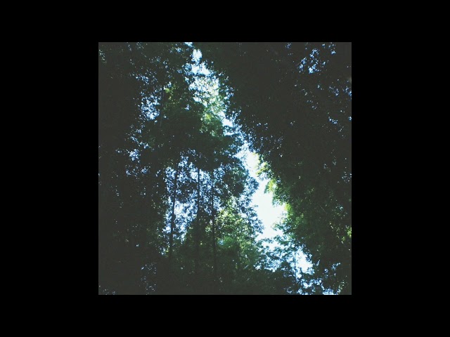 RICEWINE - Summer Spent