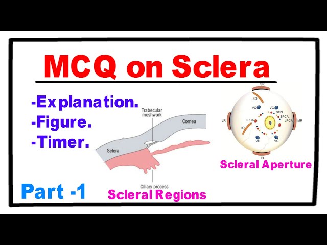 MCQ on Sclera - Part 1
