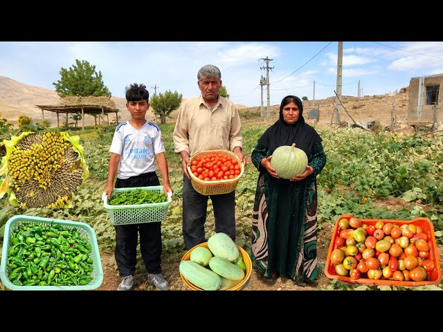 Nomadic Life in Iran | Harvesting from Gardens to Nomadic Tents; Selling Fresh Produce in Zagros