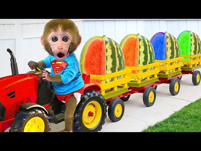 Bebé Mono BonBon Juega Con Sus Amigos Y Prepara Un Pastel Arcoíris Dulce En Casa - MONO BONBON ESP