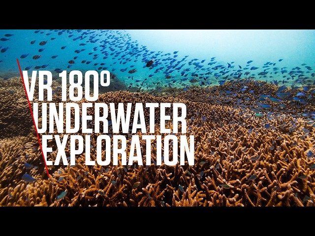 Coral Reef Underwater Exploration | VR | Shot with Canon RF 5.2mm F2.8L Dual Fisheye Lens