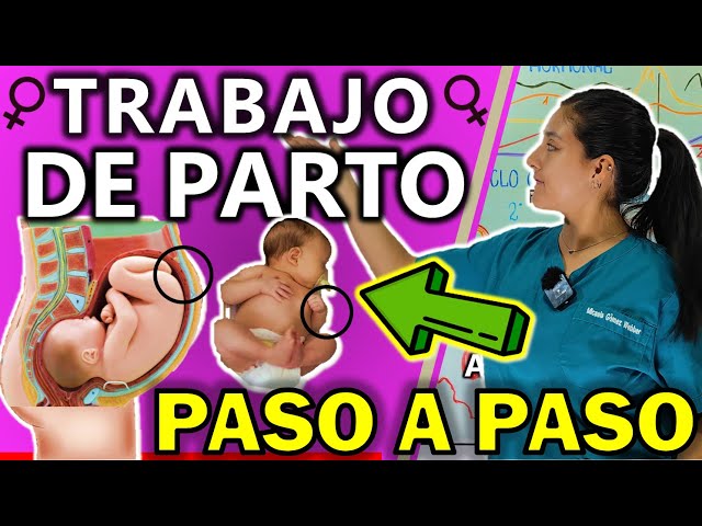 LABOR STEP BY STEP | GuiaMed