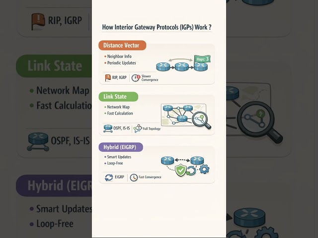 How Interior Gateway Protocols (IGPs) Work ?⚙️| Networking Basics #ccna #networking #cisco