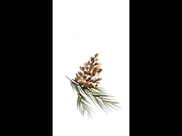 Simple watercolour pinecone