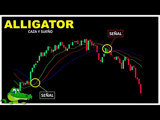 ALLIGATOR este indicador te muestra las TENDENCIAS || + Acción del Precio | Binary Teach