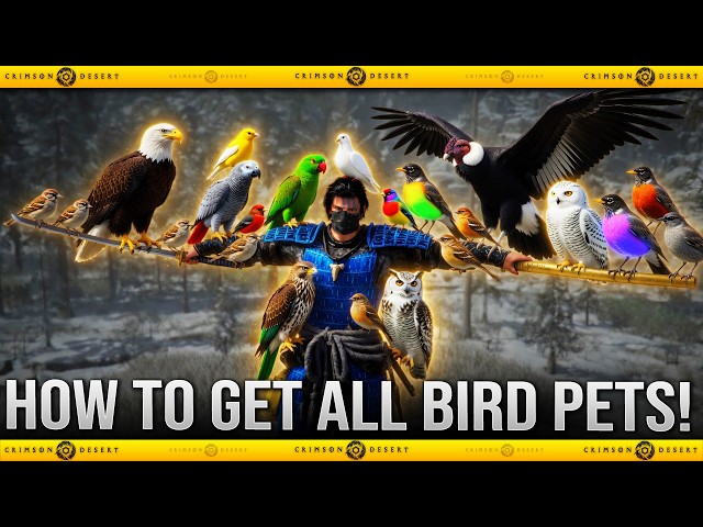 Crimson Desert - How To Get ALL 20+ BIRD Pets / The Ultimate Guide On Bird Pets