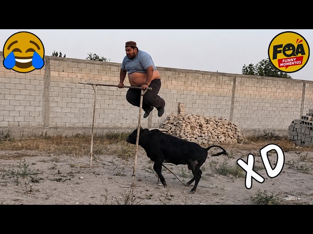 SI TE RÍES PIERDES NIVEL DIOS #37 🤣 VIDEOS DE RISA 😎 HUMOR VIRAL MEXICANO🤣