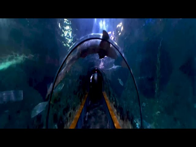 TENERIFE  Loro Parque en 360