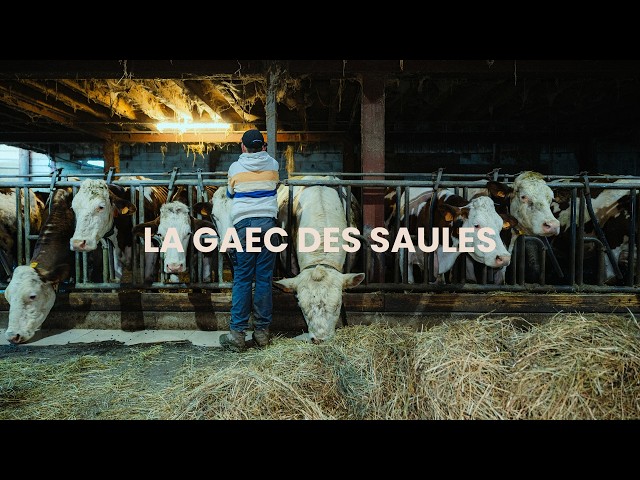 Ils font renaitre une ferme savoyarde - Vie de la GAEC des Saules