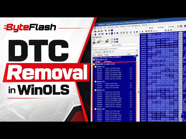 How to Remove ECU Fault Codes (DTCs) in WinOLS
