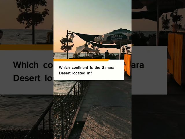 Can You Beat This Quick IQ Test?