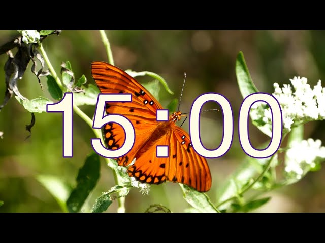 15 Minute Timer with Lofi Music & Aesthetic Butterflies 🦋 | Deep Work & Study Timer
