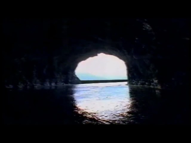Ford Acument Advert 1994