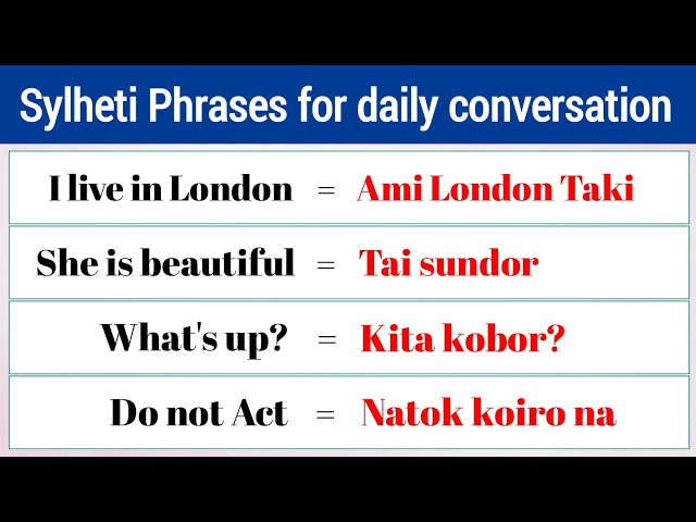 20 Most common Sylheti Phrases and Sentences | Sylheti Language for Beginners | Sylheti Nagri