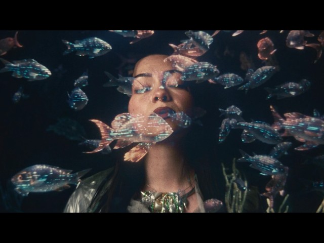 Bleu Soleil & Cleo - Confluence (Official Music Video)