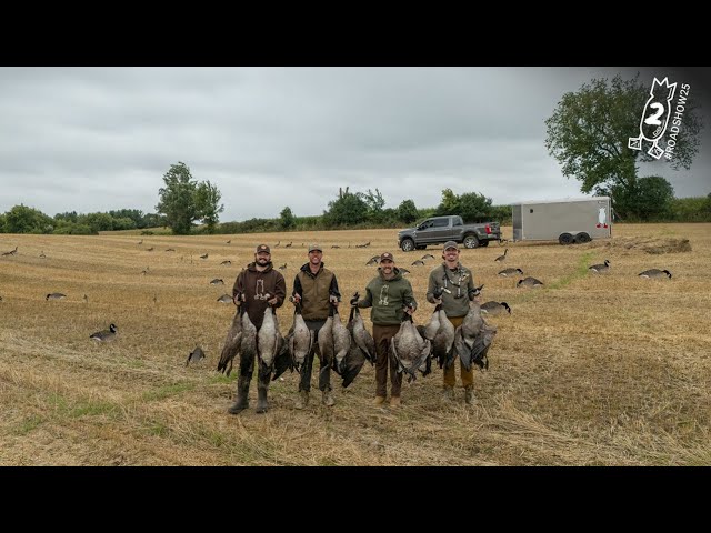 HONKERS COMMITTING FROM INSANELY HIGH! September Wisconsin Goose Hunt | #ROADSHOW25 HUNT 2
