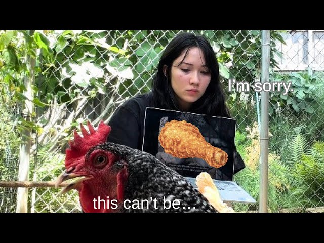 Showing my chickens the truth.