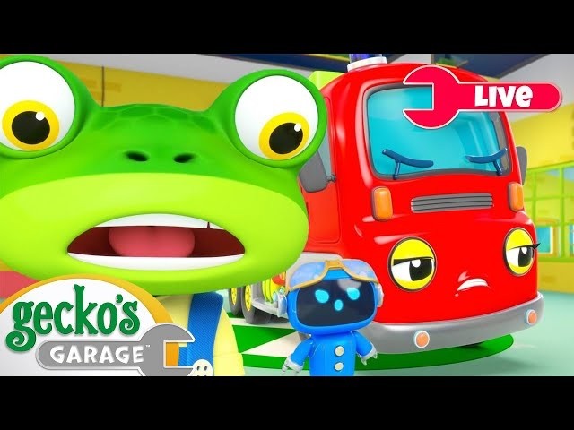 🔴 Gecko's Garage LIVE 🚛 Truck Cartoons for Toddlers 🛠️ Educational Learning Videos for Kids! 🦎