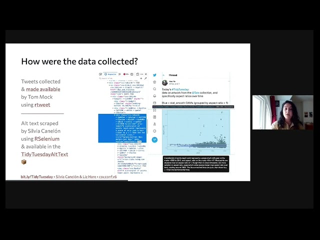 Revealing Room for Improvement in Accessibility within a Social Media Data Visualization Community
