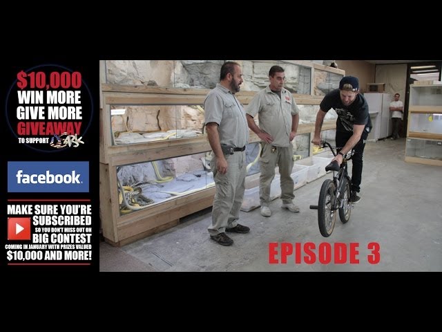 Jumping Our Way Through Reticulated Pythons : Episode 3
