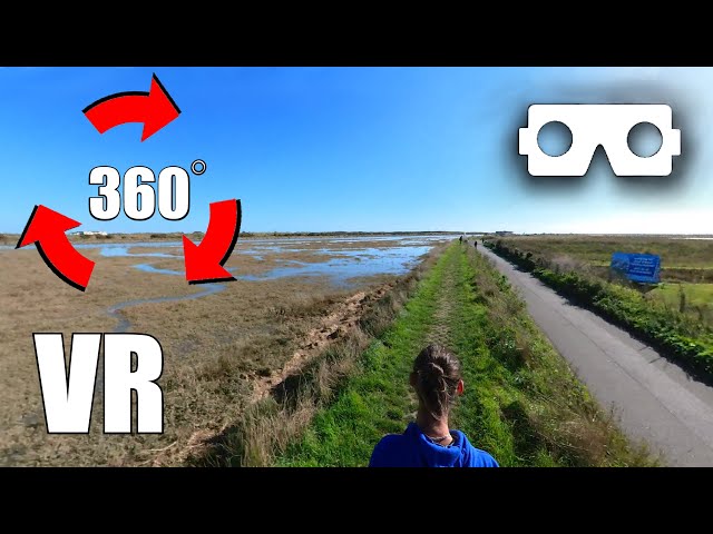 VR 360° Video | Rye Harbour Nature Reserve 🚢⚓🐣🐤🦆🐦😌 | Let's Walk 🦶 (Virtual Reality) #vr #vr360 #vrvr