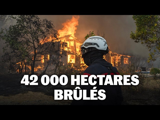 Incendie en Gironde : la gestion des pompiers remise en cause sur place