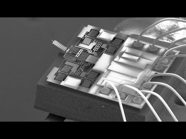 Atomic Force Microscope high-speed video, selective stainless steel etching, bacteria, and more