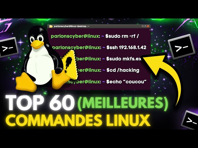 60 Commandes Linux que vous DEVEZ Connaître en 2026 (en 12 Minutes)