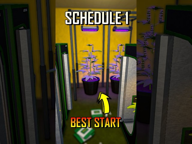 BEST Schedule 1 Start Strategy In 60 Seconds