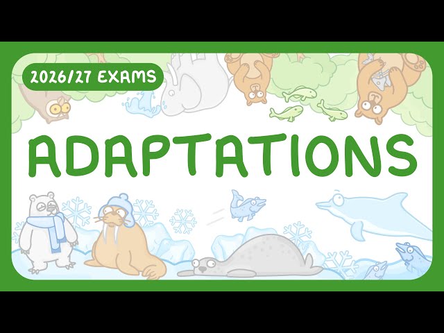 GCSE Biology - Adaptations | Structural | Behavioural | Functional (2026/27 exams)