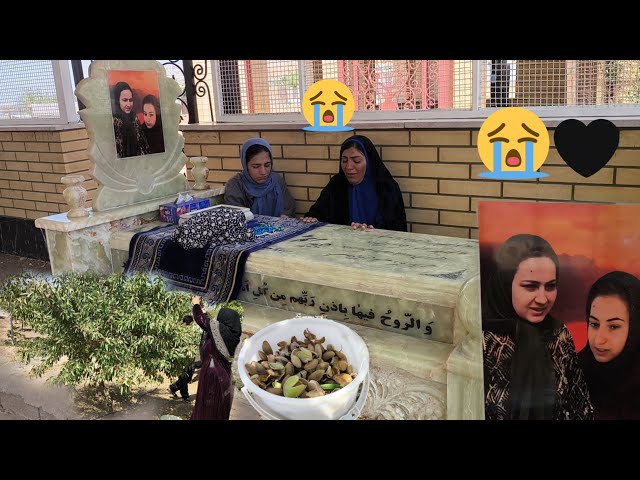 Aisha's tears on Najmeh's grave; a longing that never ends: picking almonds to receive money