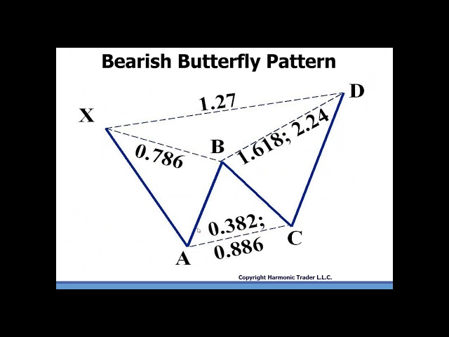 Harmonic Patterns - The Butterfly Pattern Introduction by Scott Carney