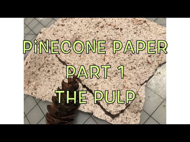 Pinecone Paper Part 1 - The Pulp