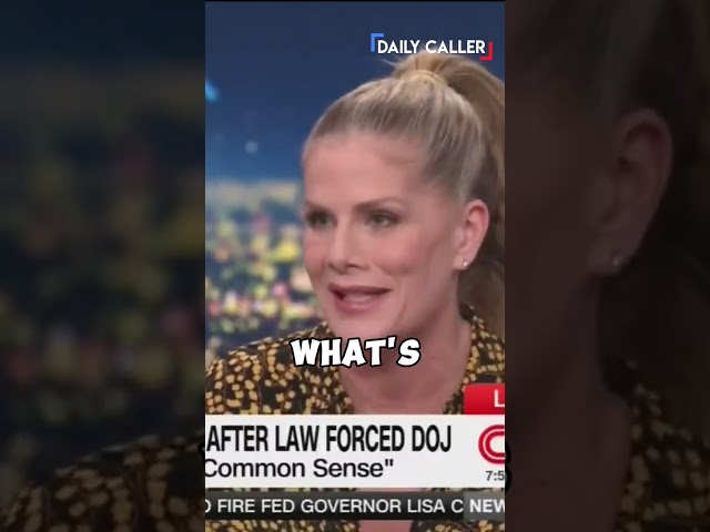 “There's a CABAL of People That Do Not Listen to the Law”- McGowan SMOKES Jennings On Epstein Crimes