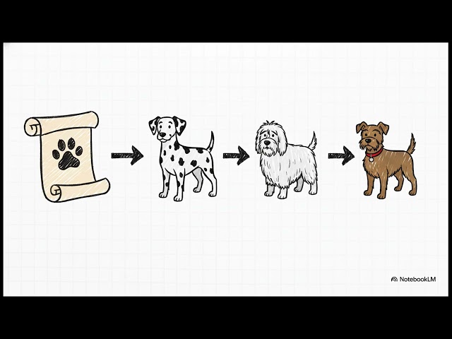 Intermediate Python | Lesson 8: Intro to Object-Oriented Programming (OOP)