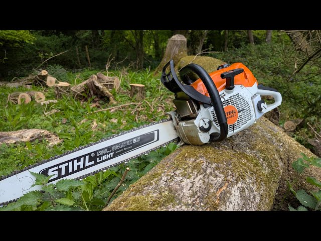 Stihl 462 Honest thoughts! Where does this 70cc professional Chainsaw fit?