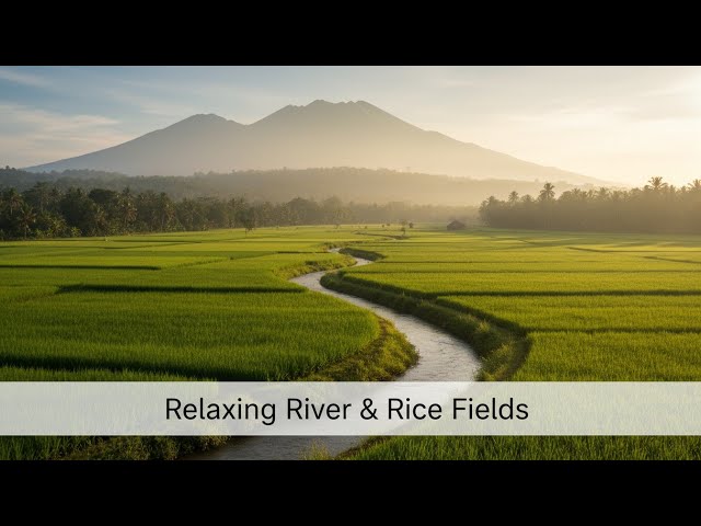 4K Relaxing  Clear Mountain River | Gentle Flowing Water Sounds for Sleep, Meditation & Relaxation 