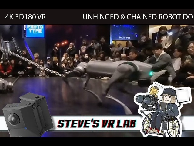 4k 3DVR (stereoscopic) - UNHINGED but CHAINED Robot Dog Exhibit  (Insta360 EVO). Tokyo Japan