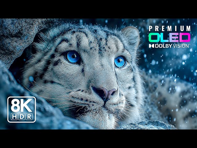 Cinematic 8K HDR Experience | 60FPS Dolby Vision