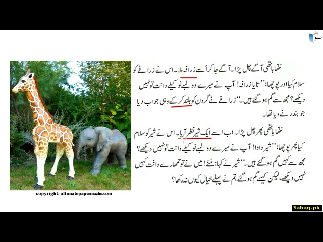Urdu Reading Comprehension (Story) The Little Elephant-Questions | Sabaq.pk