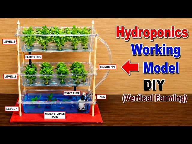 hydroponics working model - vertical farming - science exhibition project - diy - howtofunda