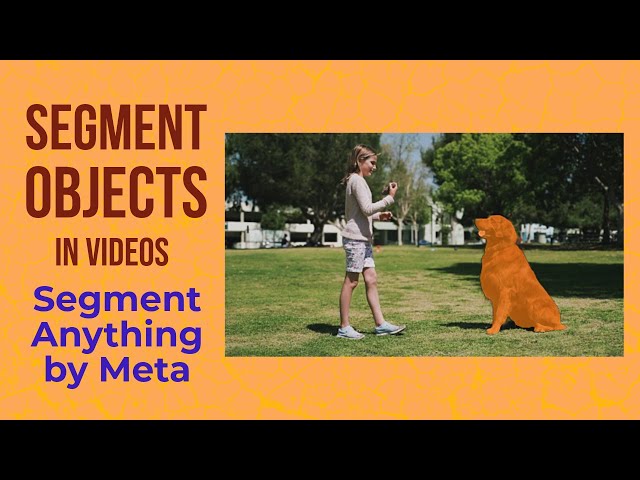 How I Segmented Videos Using SAM2 + Python