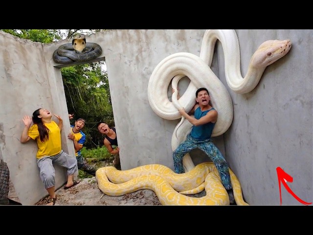 Brave hunting team rescues girl attacked by giant snake anaconda in abandoned house.