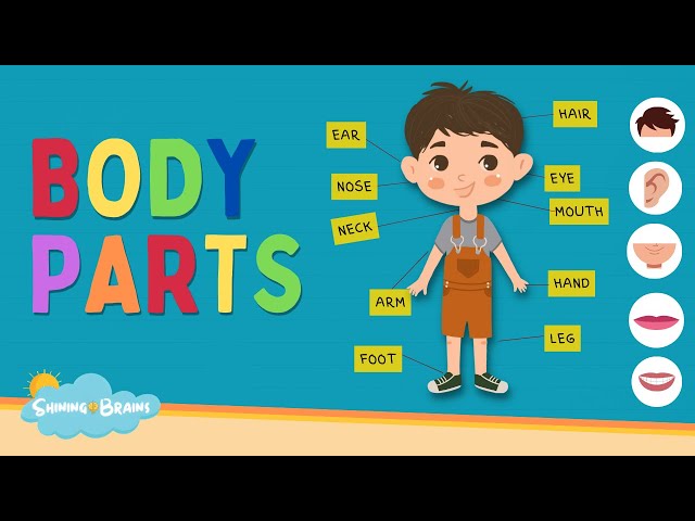 Learn Parts of Body Names | Body Parts Names for Kids | Human Body Parts | Kids English Vocabulary