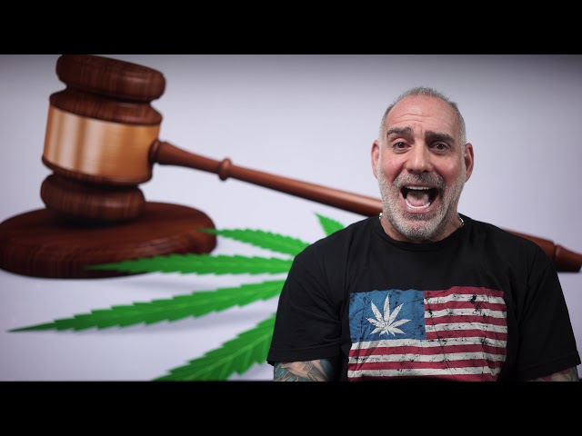 293) Can I use Rx Marijuana while on Probation in FL? #HaberPA Miami Criminal Defense DUI Lawyer